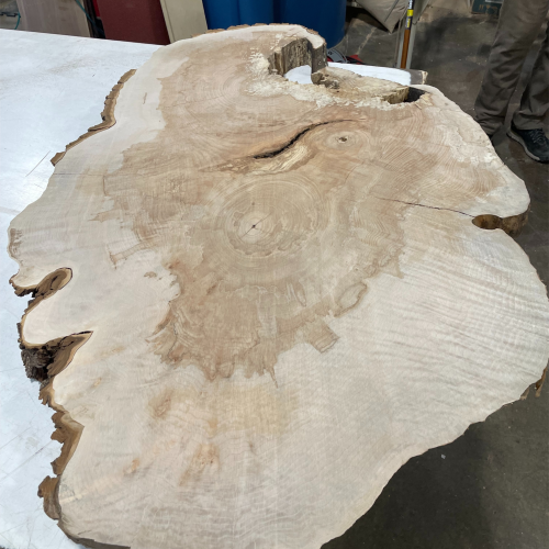 69391688c8ba41ec8b93186ba58f7f53